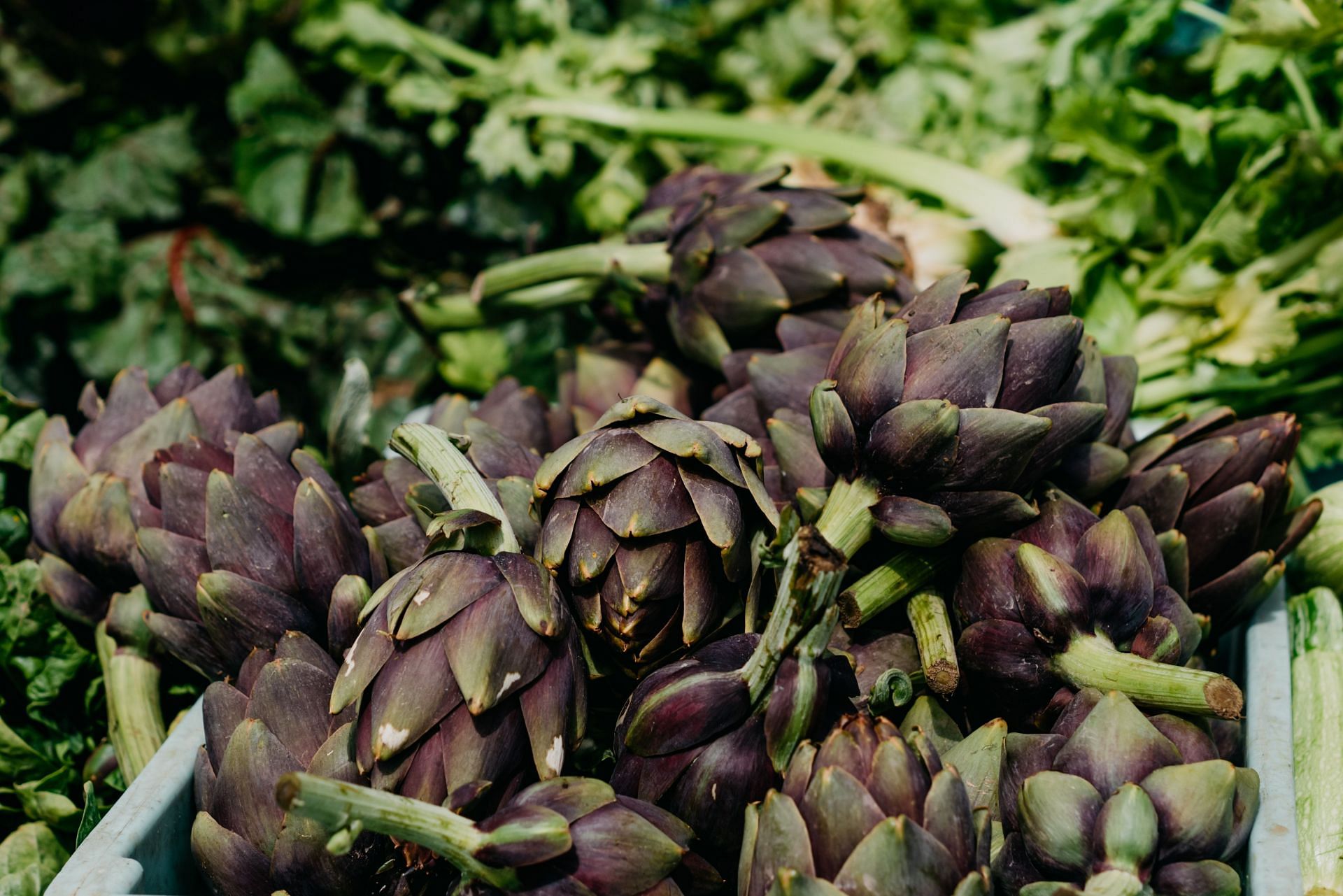 Artichokes help regulate blood pressure levels (Image via Pexels)